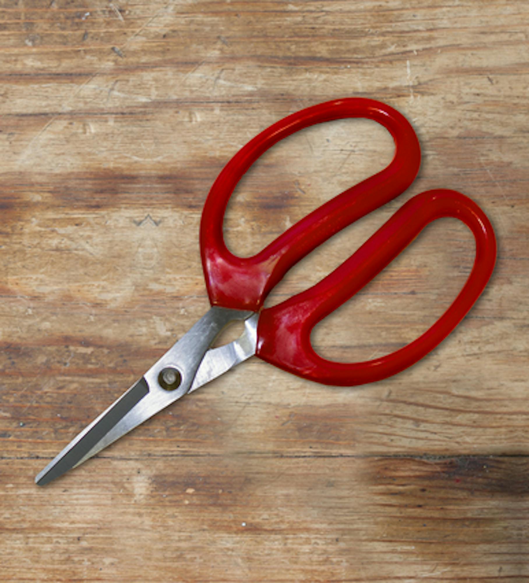 Deadhead Scissors