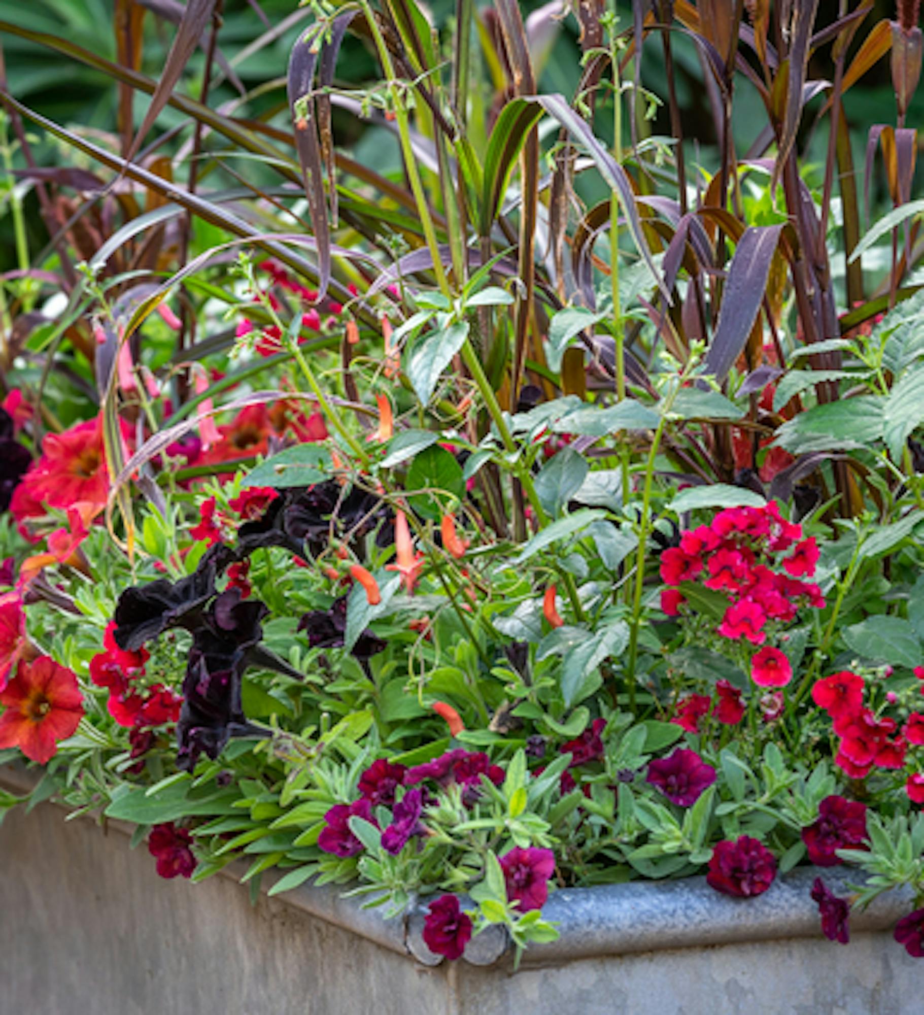 Velvet Trough Pot Collection