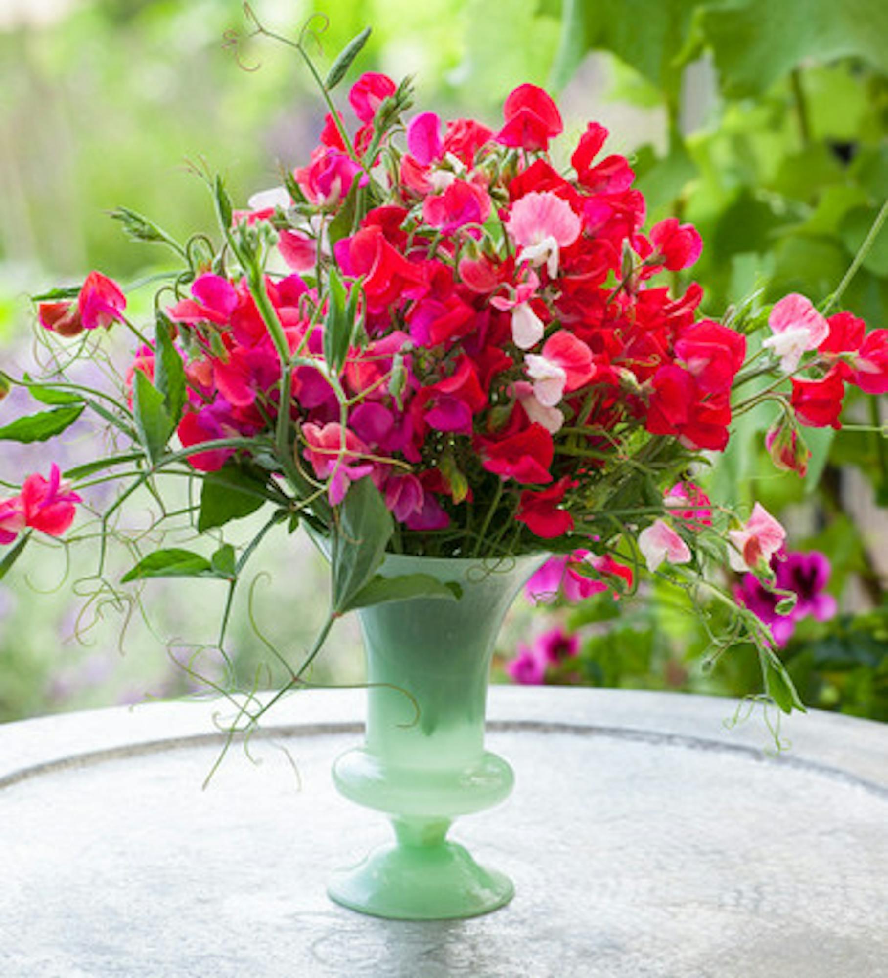 Favourite Jade Vase