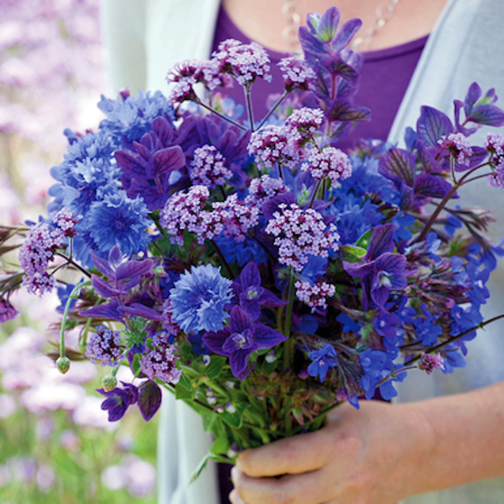 Amethyst and Sapphire Cut Flower Mix