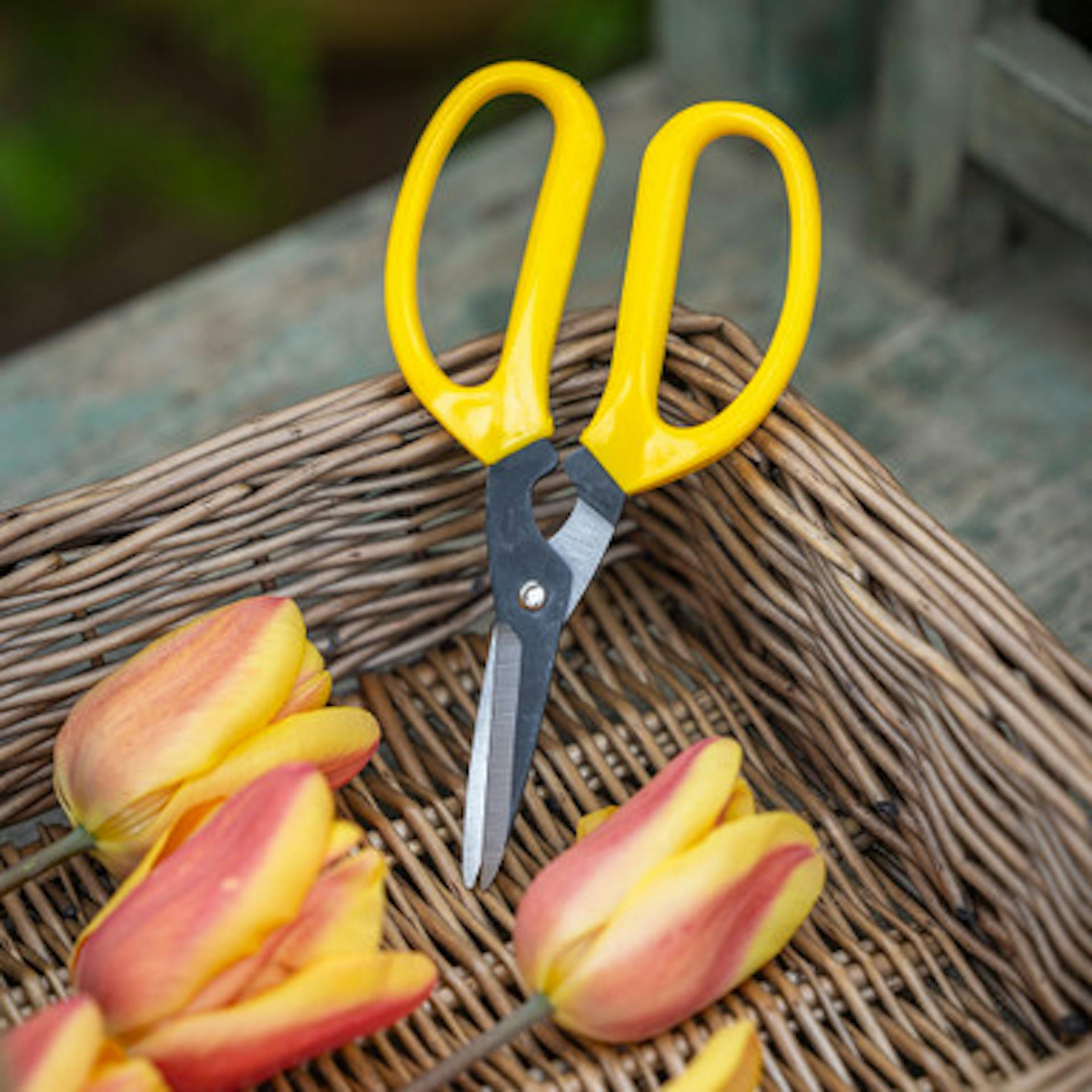 Florist's Scissors