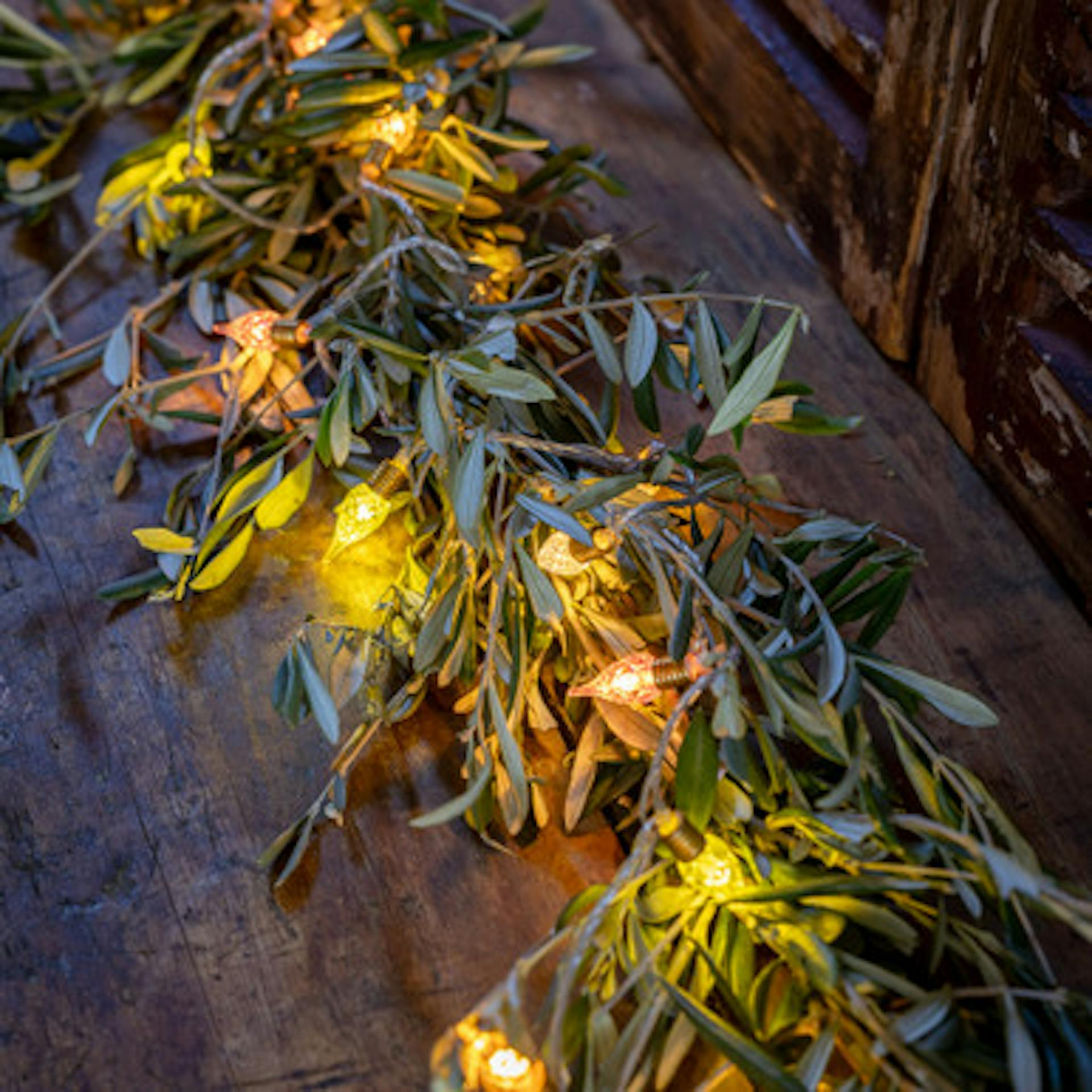 Olive Garland