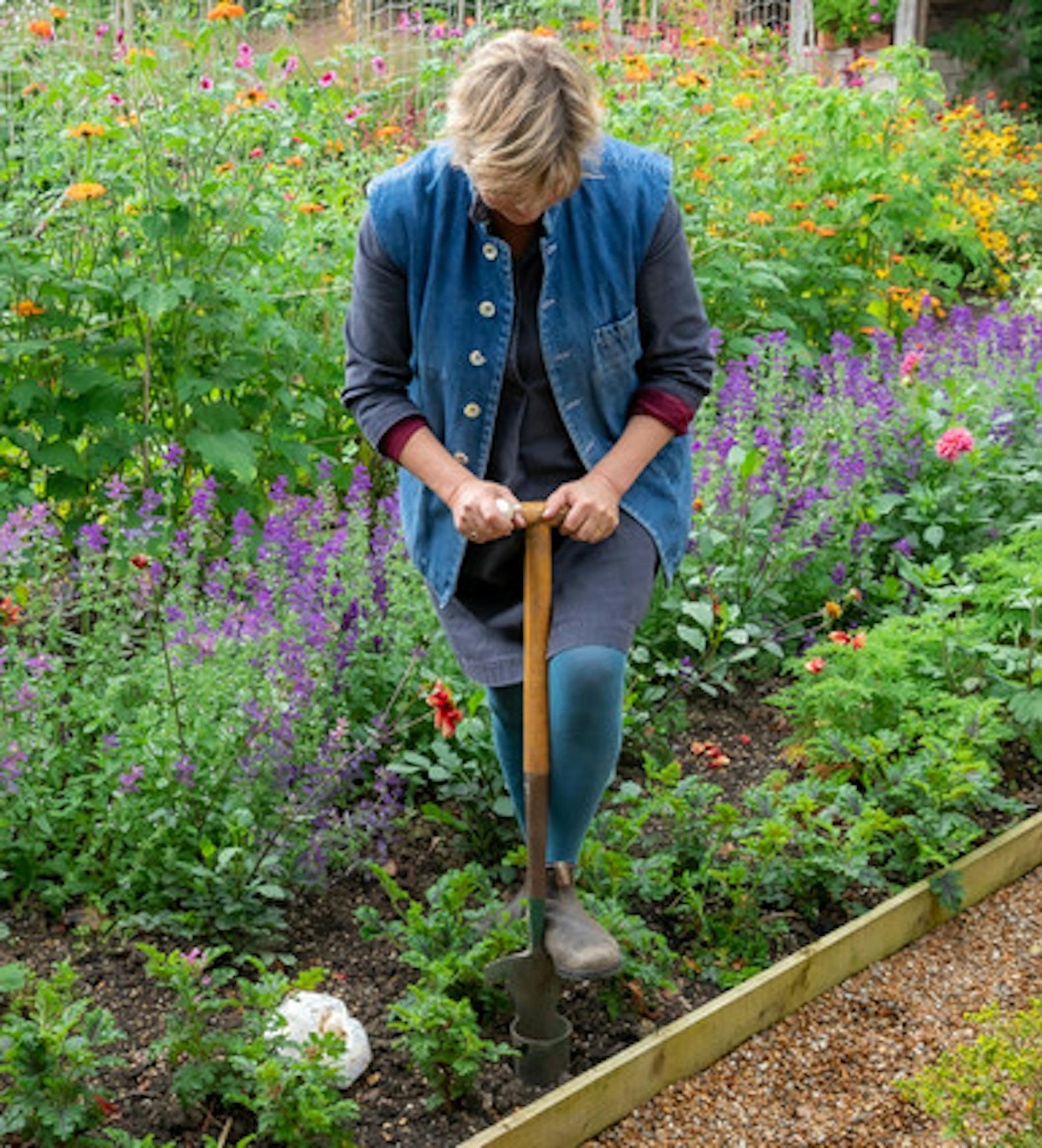 Bumper Bulb Planter