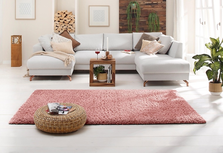 Kellergeruch Von Mobeln Entfernen So Geht S