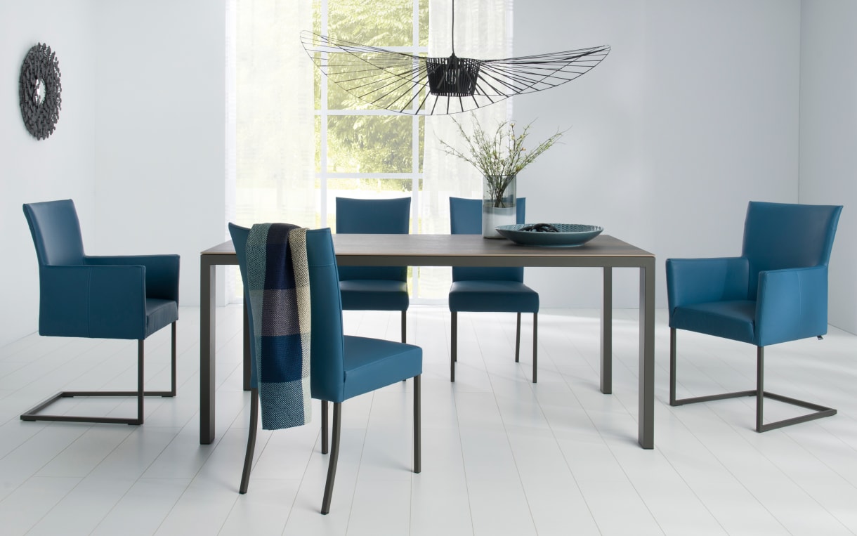 Stuhlgruppe Nova in Japanese blue/Mooreiche