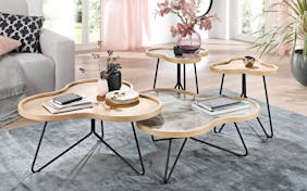 Couchtisch organische Formen