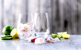 Gin Tonic Becher Time for Gin Tonic, 2er Set