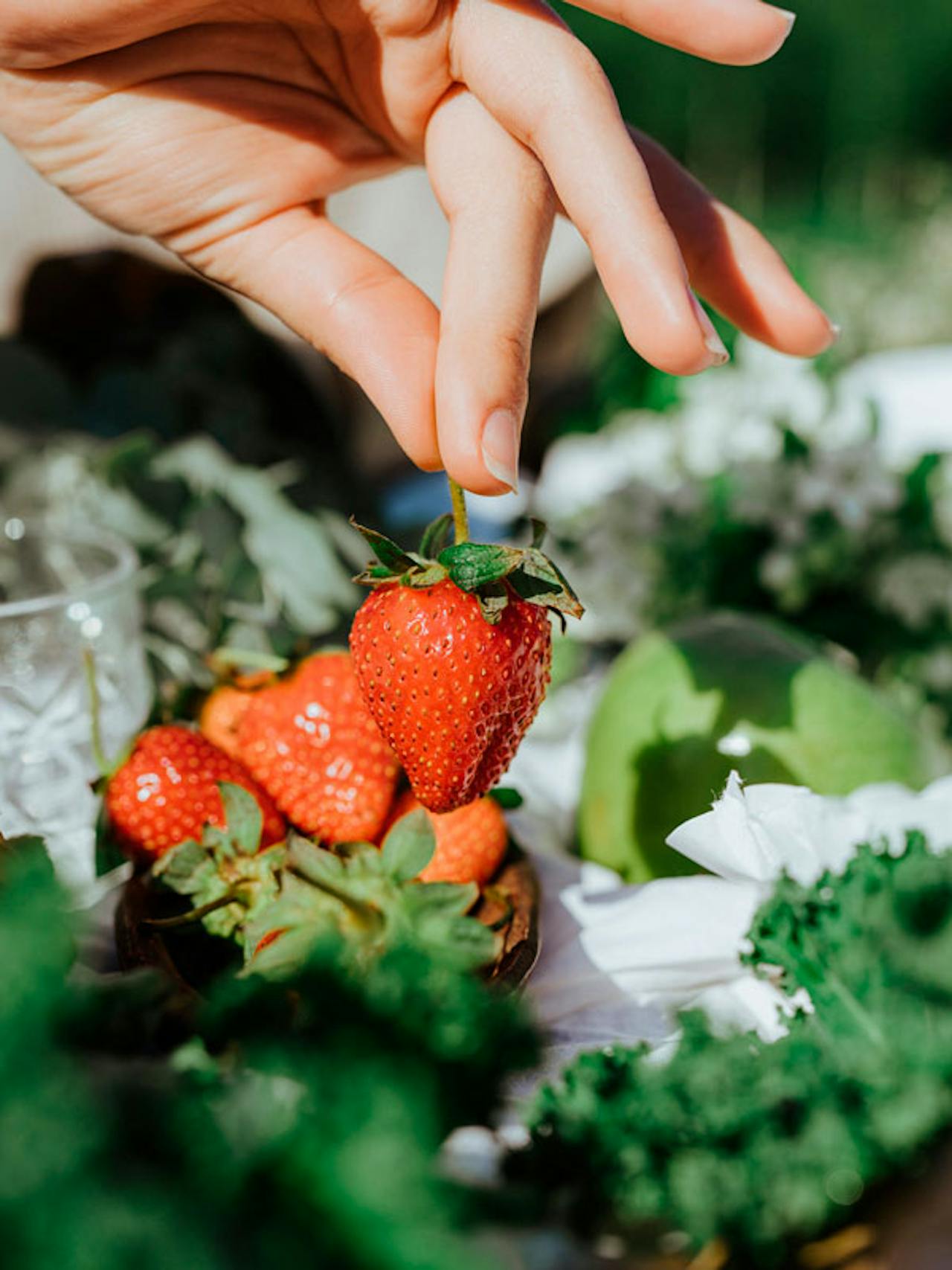 Herkunft von Erdbeeren