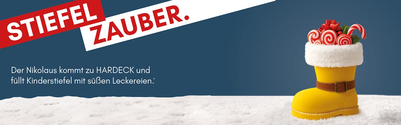 Nikolausstiefel_Aktion_Desktop_LP_2500x781