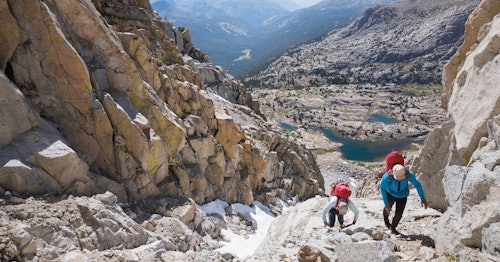 Patagonia shop online