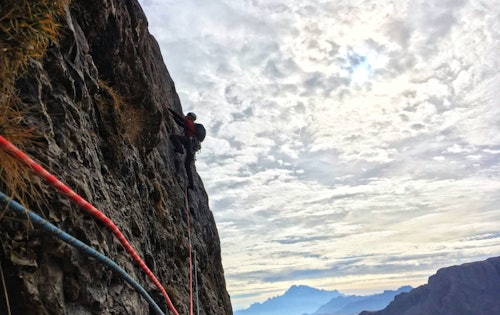 Shop Online Arrampicata Sportler