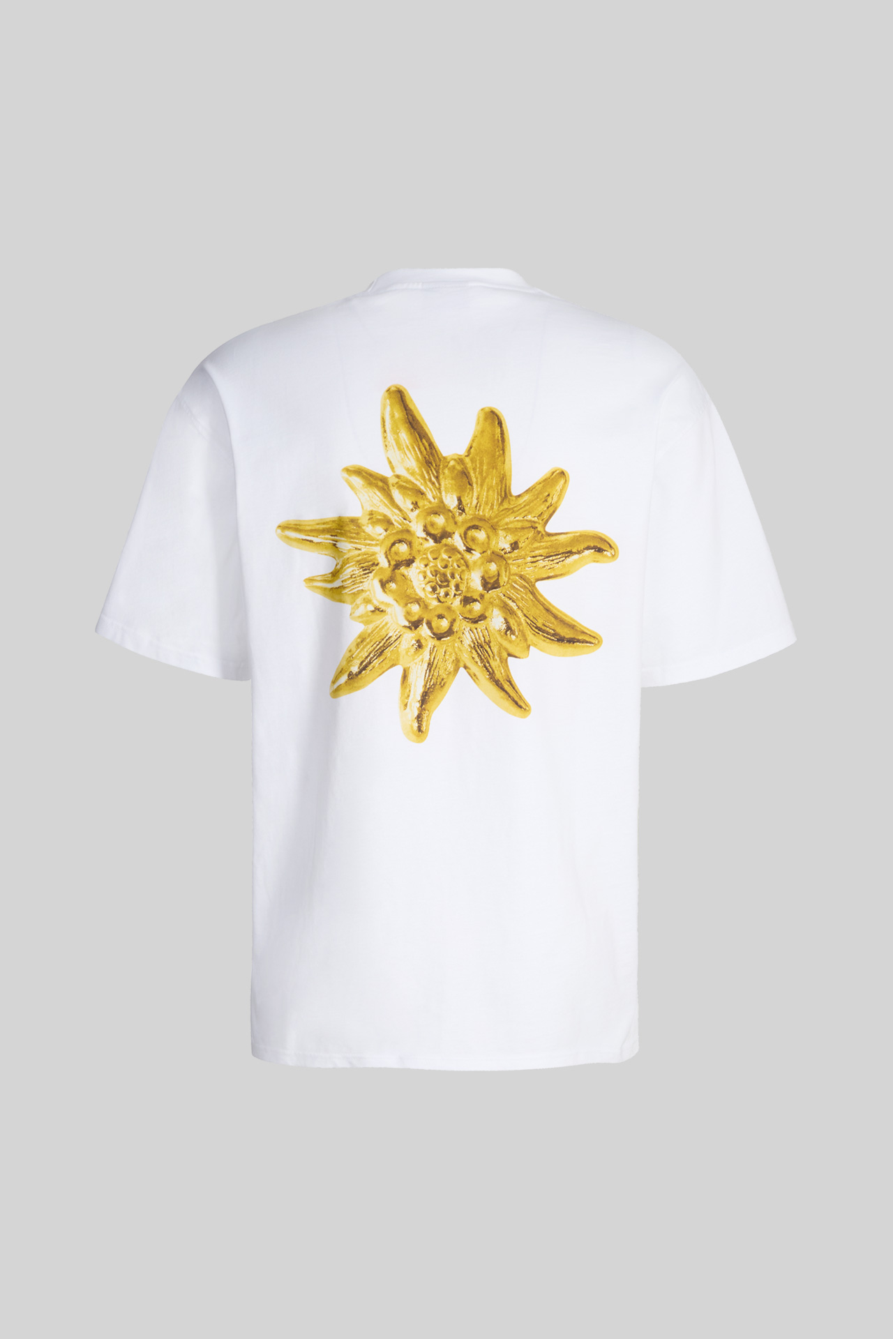 Elias-R01 T-shirt, white