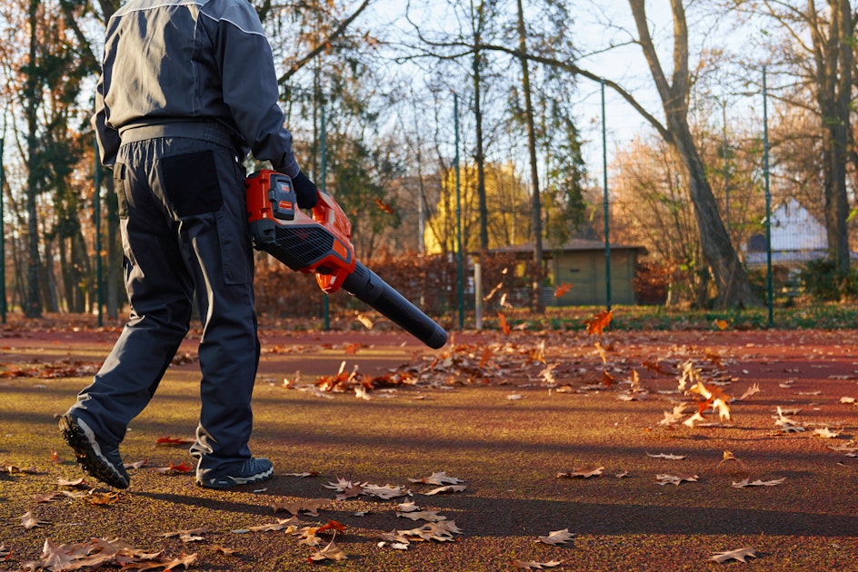 What to Look for When Buying a Leaf Blower A Buyer's Guide