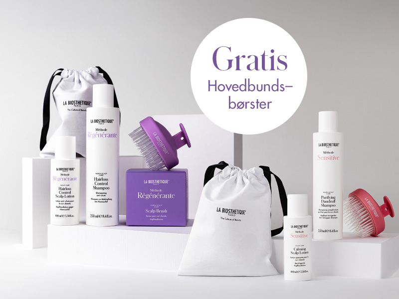 Hair Loss Control and Anti-Dandruff Set with a free scalp brush