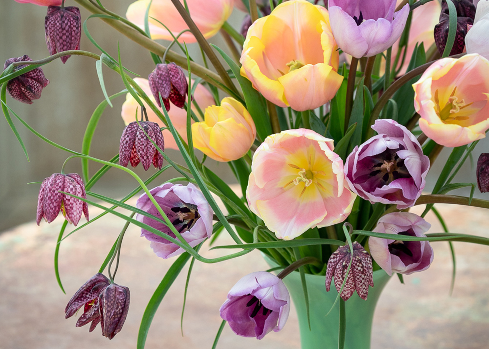 How To Plant, Grow & Care For Fritillaries | Sarah Raven