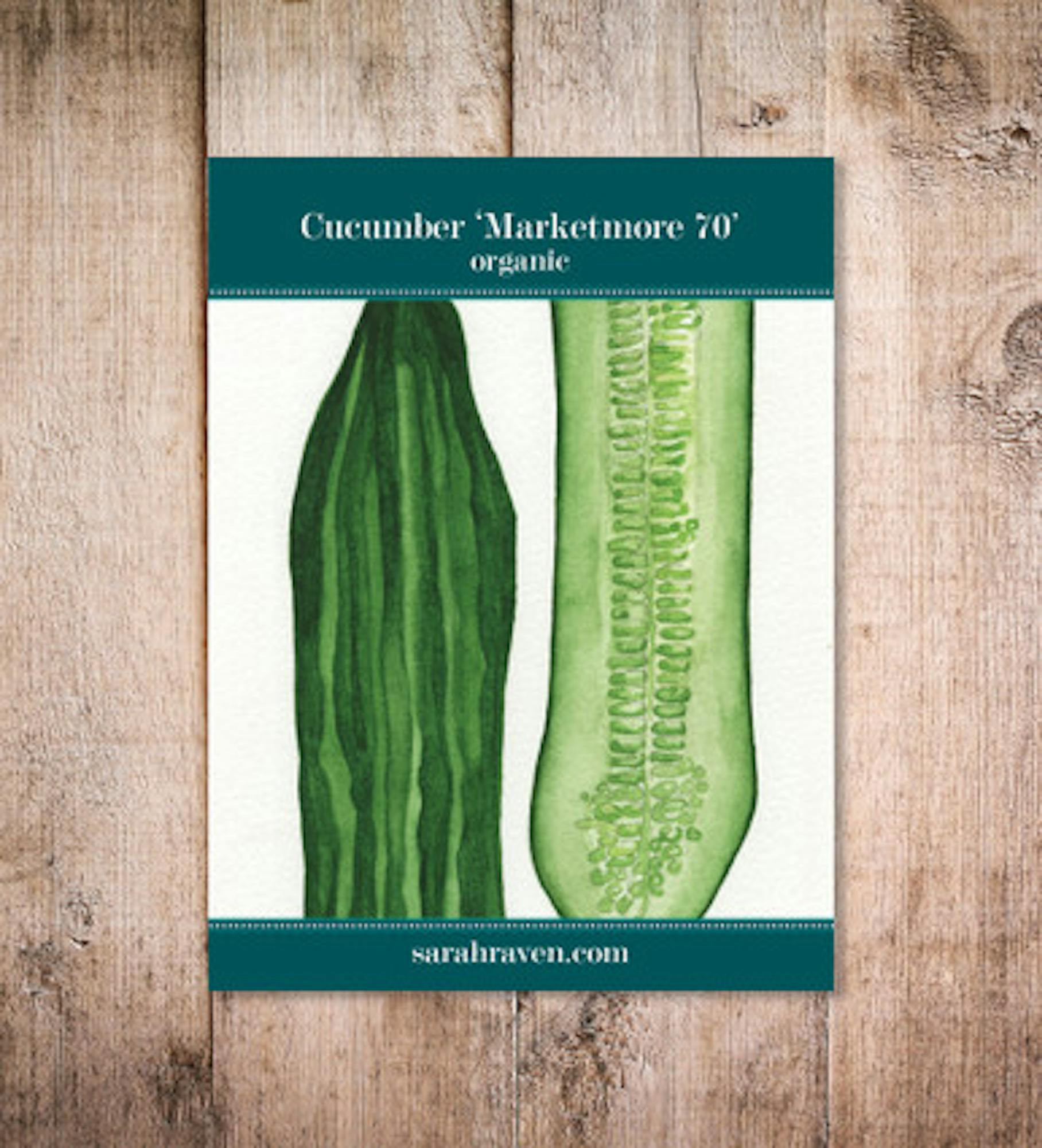 Cucumber 'Marketmore'