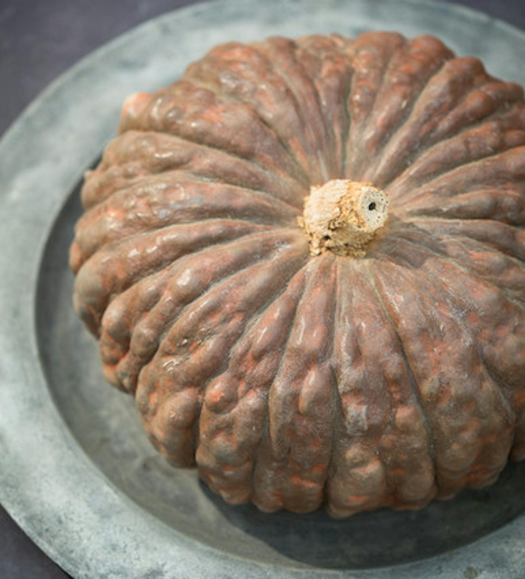 Pumpkin 'Marina Di Chioggia'