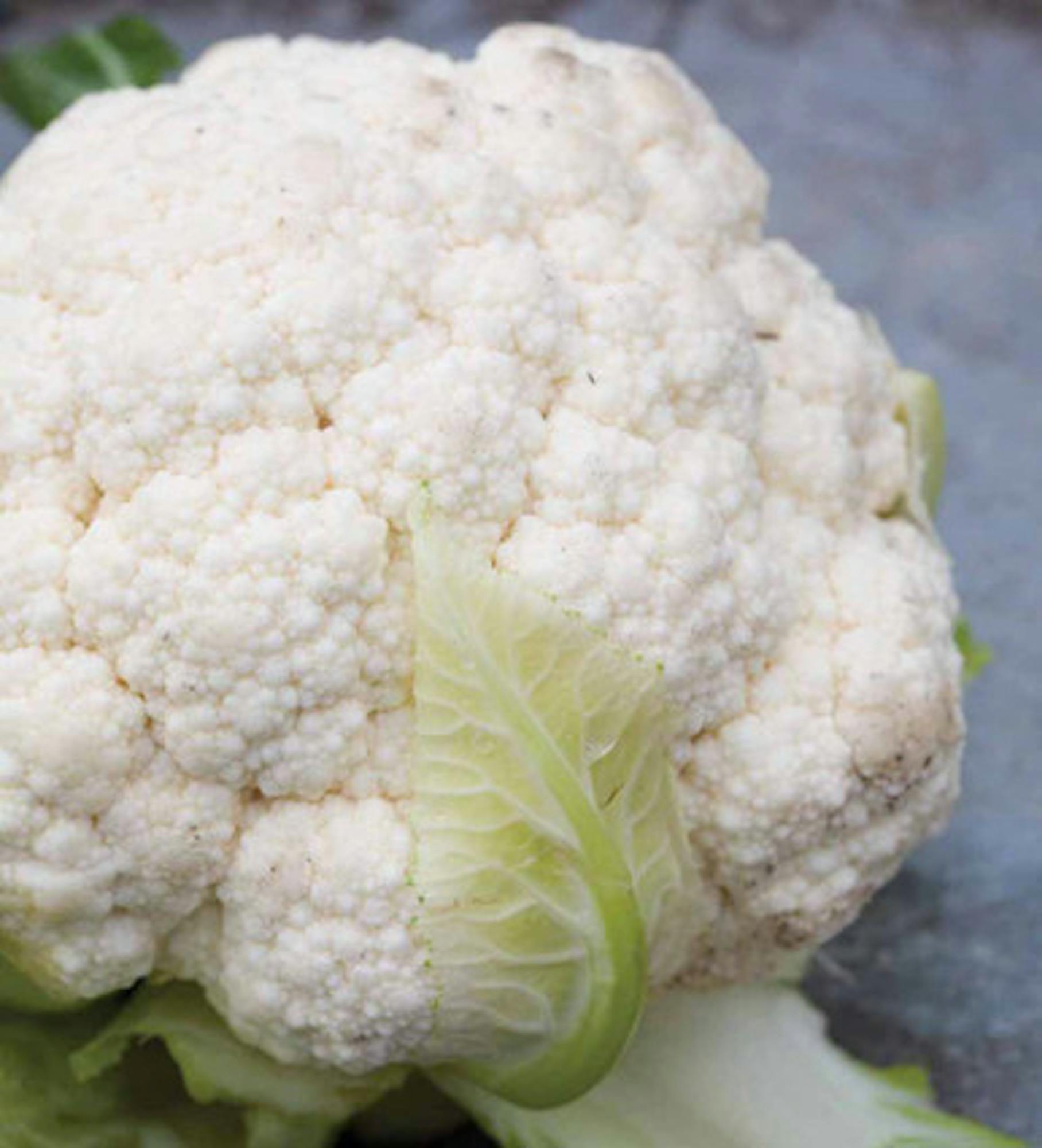 Cauliflower 'Flora Blanca'