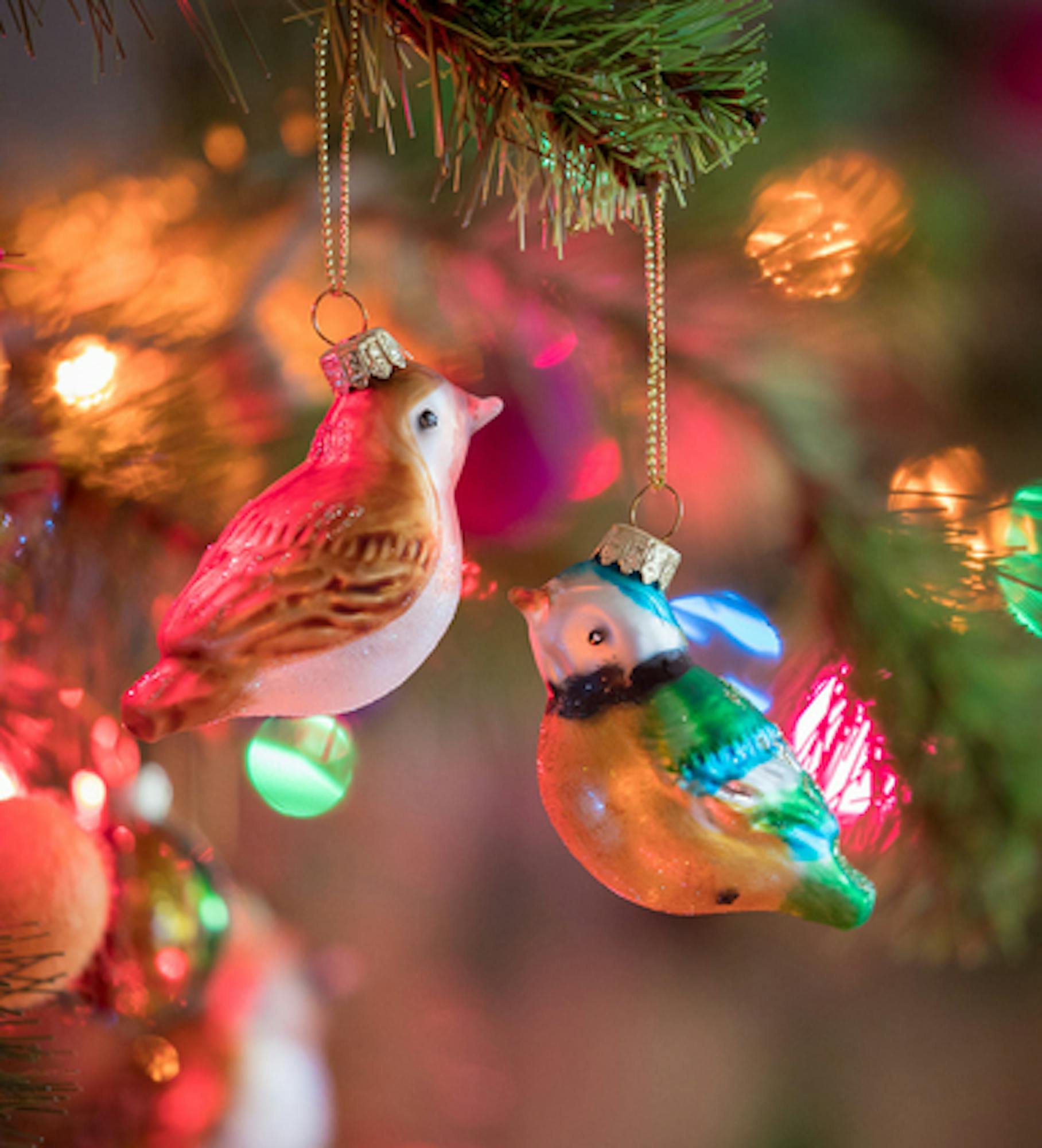 Colourful Bird Decorations