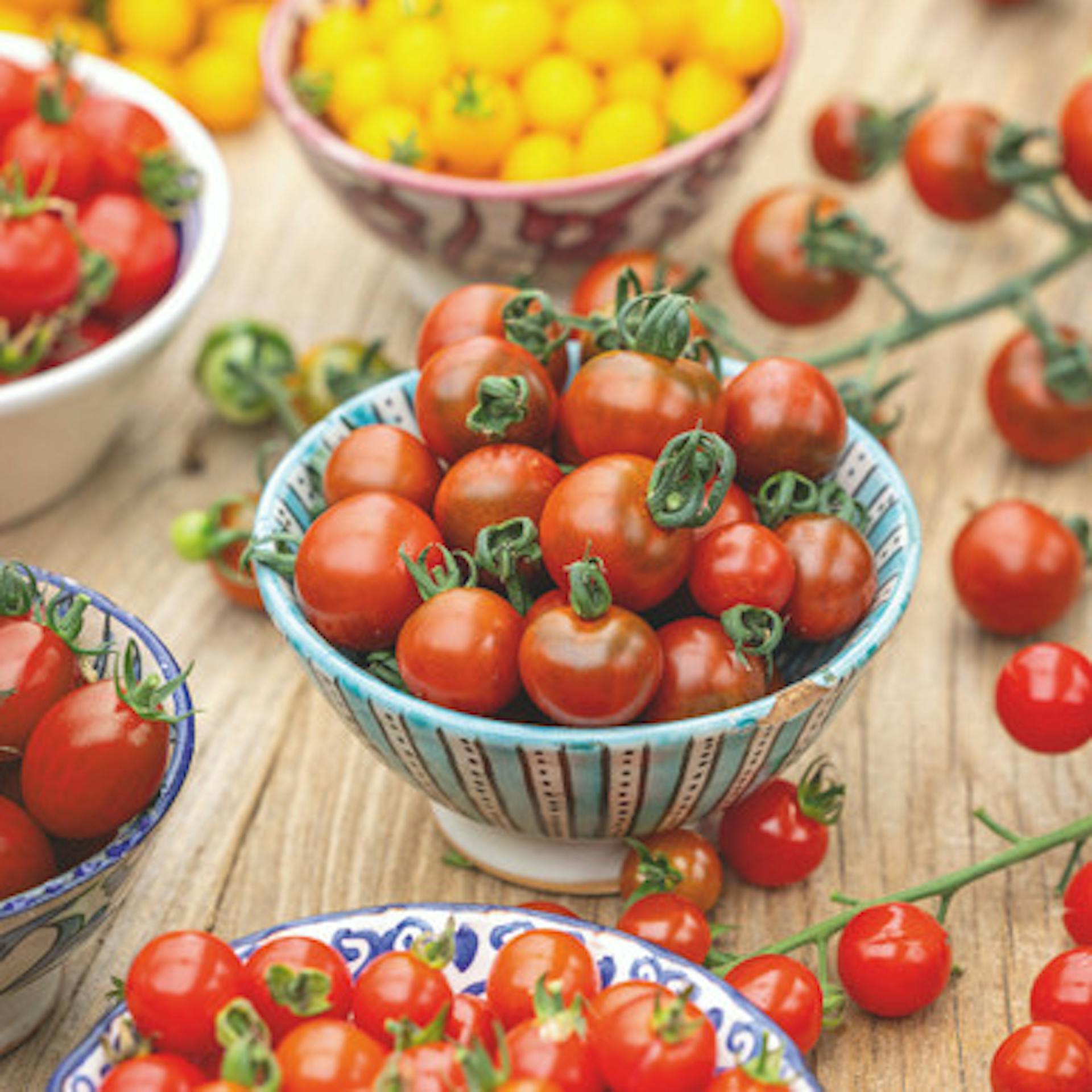 Cheery Cherry Tomato Collection