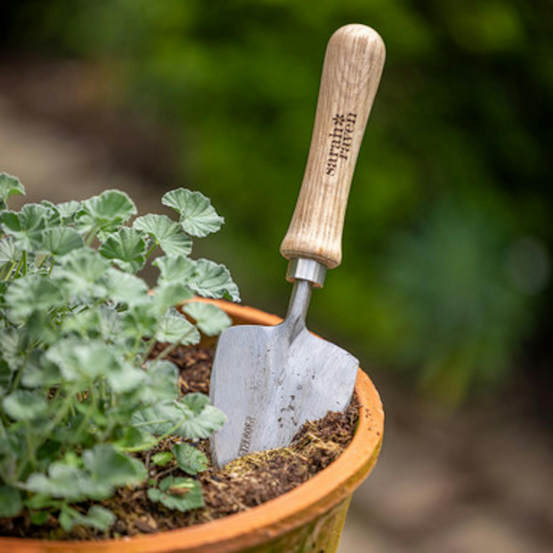 Sarah Raven Small Transplanting Trowel