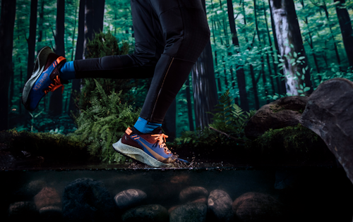 Nike Pegasus Trail 2 GORE-TEX - uomo