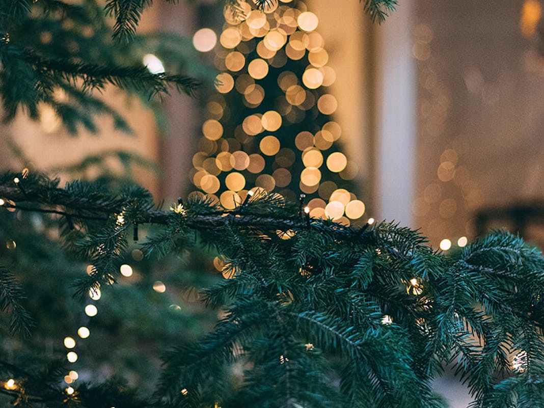 weihnachtliche-beleuchtung-outdoor-lichterkette-quer_tiny