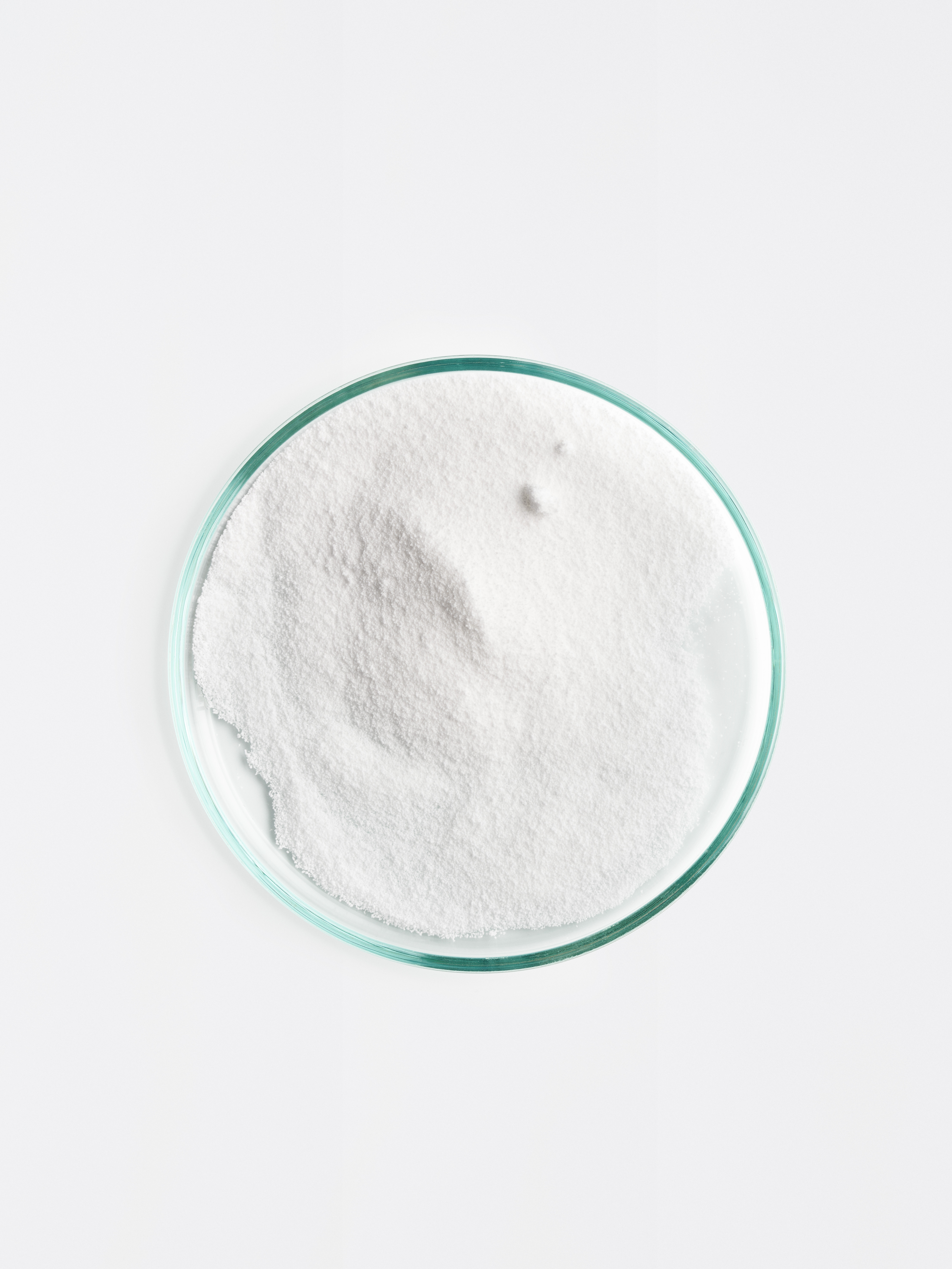 Feines, weißes Vitamin B3 Pulver aufgehäuft in einer Petrischale, auf hellgrauem Hintergrund